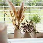 Loft-apartment - Bestlage Am Kurpark Mit Terrasse - Kostenloses Parken - Kueche - Netflix - Waschmaschine