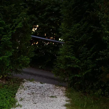 Loft-apartment - Bestlage Am Kurpark Mit Terrasse - Kostenloses Parken - Küche - Netflix - Waschmaschine