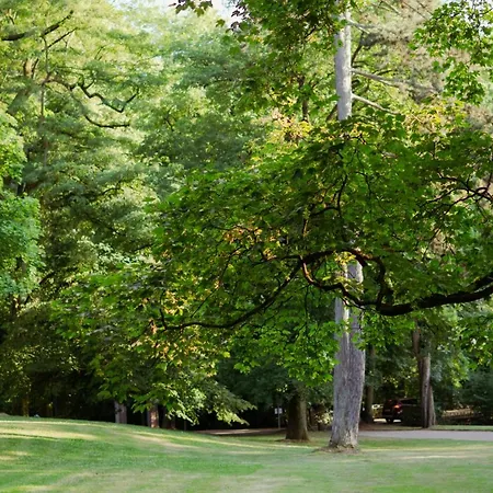 Loft-apartment - Bestlage Am Kurpark Mit Terrasse - Kostenloses Parken - Küche - Netflix - Waschmaschine *