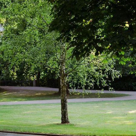 Loft-apartment - Bestlage Am Kurpark Mit Terrasse - Kostenloses Parken - Küche - Netflix - Waschmaschine