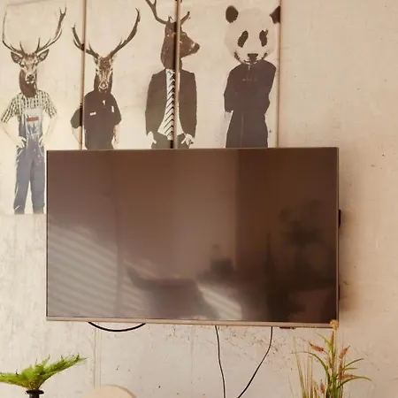 Apartment Loft-apartment - Bestlage Am Kurpark Mit Terrasse - Kostenloses Parken - Küche - Netflix - Waschmaschine