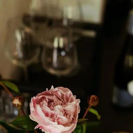 Apartment Loft-apartment - Bestlage Am Kurpark Mit Terrasse - Kostenloses Parken - Küche - Netflix - Waschmaschine *