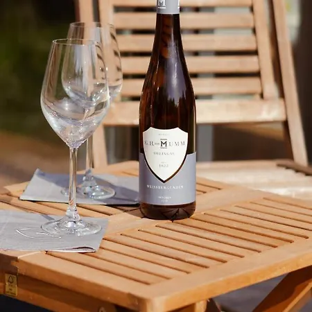 Loft-apartment - Bestlage Am Kurpark Mit Terrasse - Kostenloses Parken - Küche - Netflix - Waschmaschine *