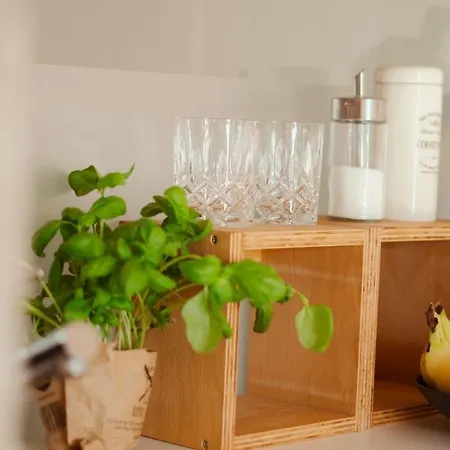 Loft-apartment - Bestlage Am Kurpark Mit Terrasse - Kostenloses Parken - Küche - Netflix - Waschmaschine Wiesbaden