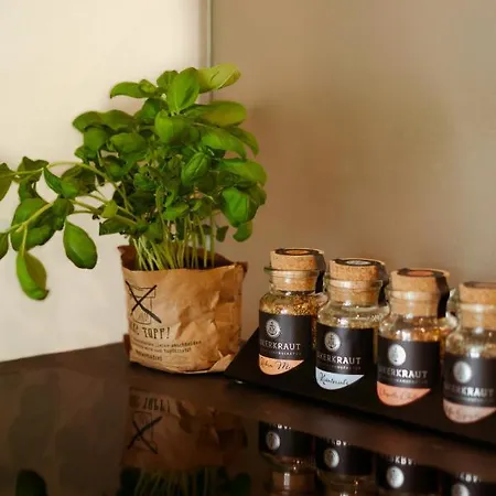 Kurpark Loft: Terrace Retreat With Free Parking Apartment