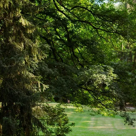 Kurpark Loft: Terrace Retreat With Free Parking Apartment *