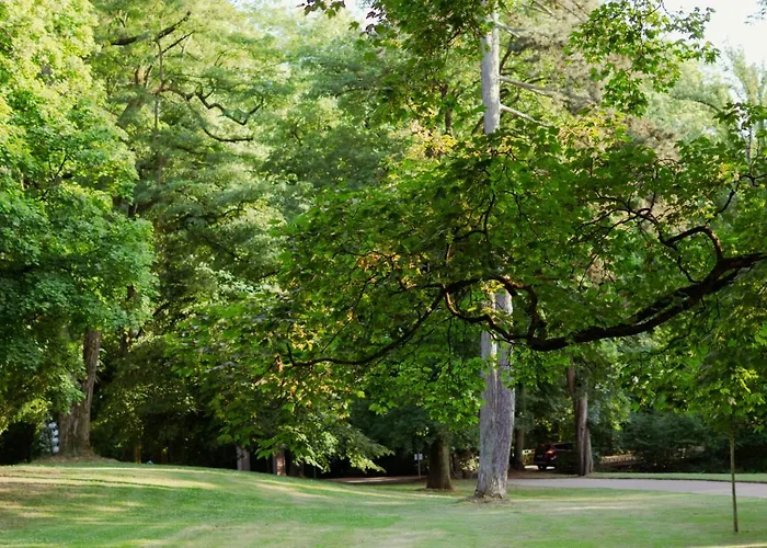 Loft-apartment - Bestlage Am Kurpark Mit Terrasse - Kostenloses Parken - Küche - Netflix - Waschmaschine *