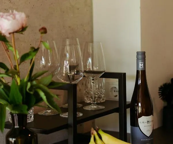 Loft-apartment - Bestlage Am Kurpark Mit Terrasse - Kostenloses Parken - Küche - Netflix - Waschmaschine Apartment