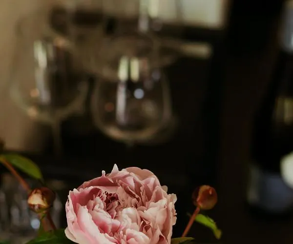 Apartment Loft-apartment - Bestlage Am Kurpark Mit Terrasse - Kostenloses Parken - Küche - Netflix - Waschmaschine *