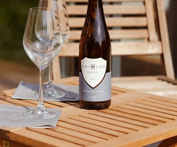 Loft-apartment - Bestlage Am Kurpark Mit Terrasse - Kostenloses Parken - Küche - Netflix - Waschmaschine *