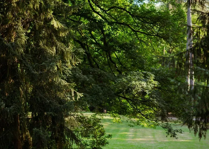 Kurpark Loft: Terrace Retreat With Free Parking Apartment *